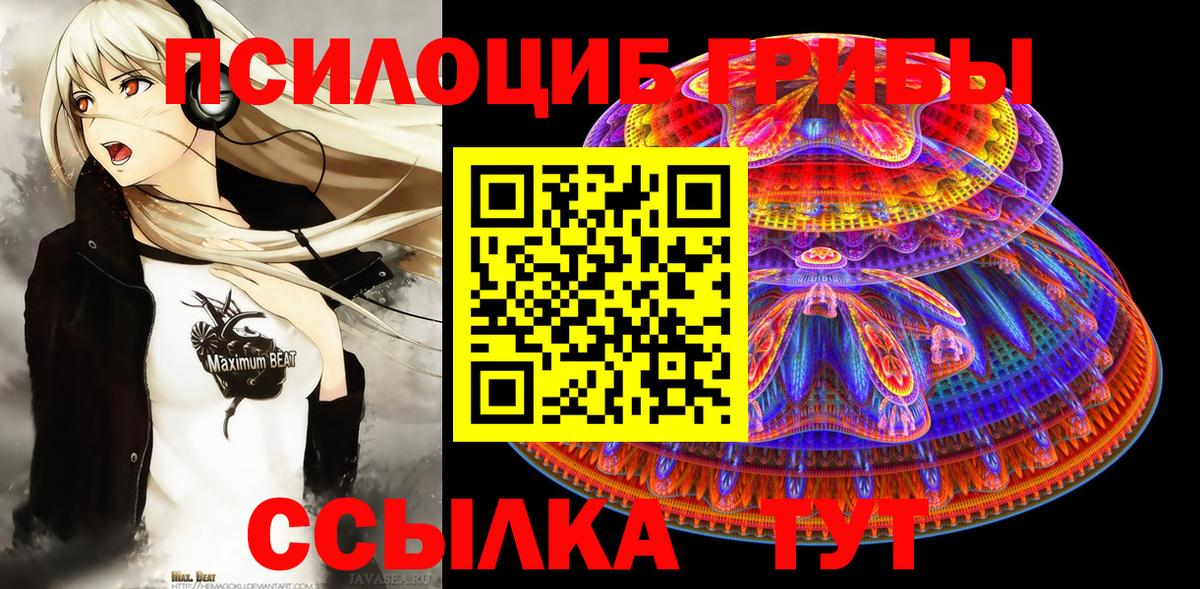 закладки  Вход с VPN  Нарткала  Галлюциногенные грибы MAGIC MUSHROOMS 